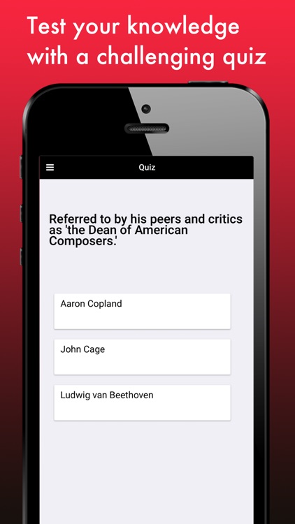 Famous Composers screenshot-4