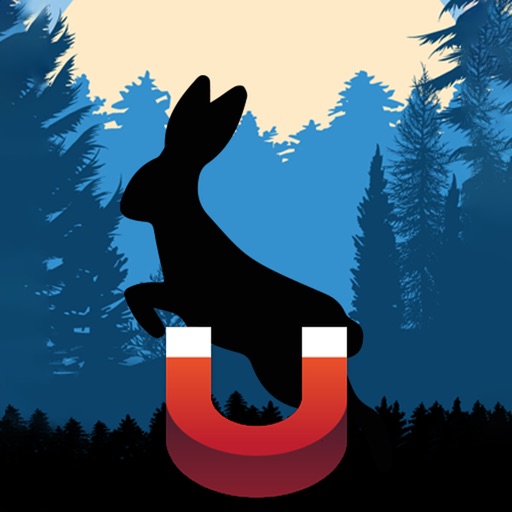 Rabbit Magnet - Rabbit Sounds icon