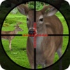 Ultimate Deer Safari Hunting