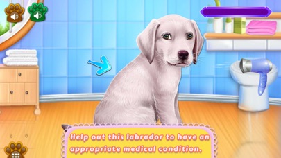 Labrador Puppy Day Care screenshot 5