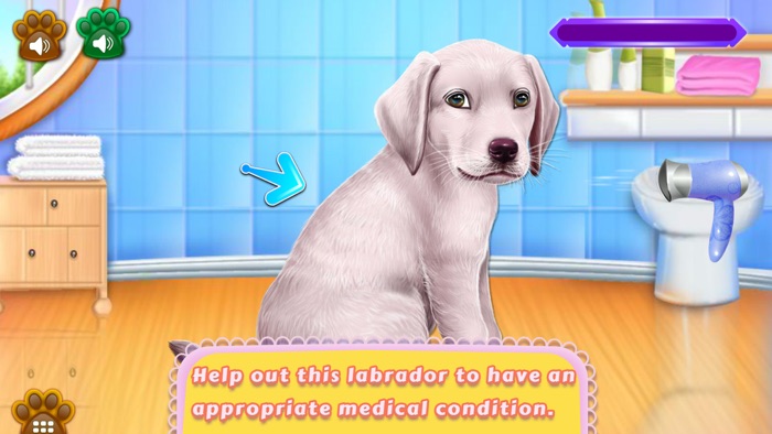 Labrador Puppy Day Care