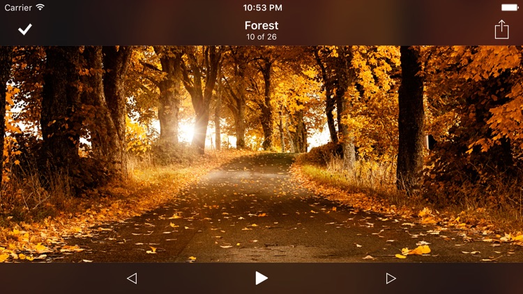 8player lite screenshot-3