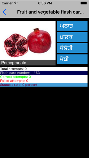 Learn Punjabi - Hashia Labs(圖5)-速報App