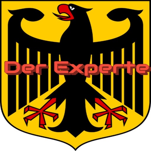 Der Experte