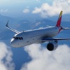Airplane Flight Simulator 22