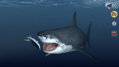 How to cancel & delete Talking Great White : My Pet Shark from iphone & ipad 2