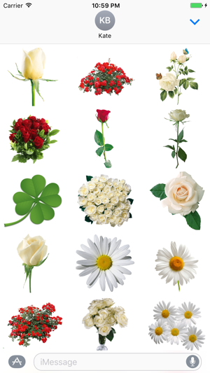 Flowers Sticker Pack!