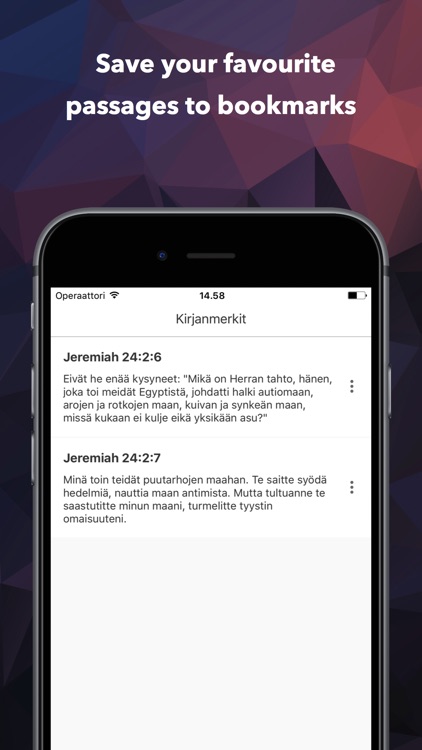 Pyhä Raamattu (Finnish Bible)