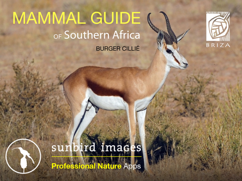 Mammal Guide of Southern Africa - náhled