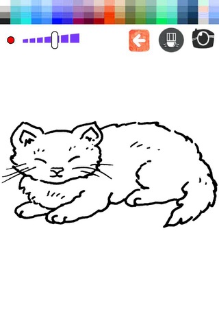 Dog Cat Animals Coloring - Drawing Book For Kids screenshot 2