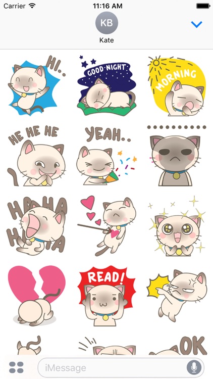 Simi the Siamese kitten 3 for iMessage Sticker