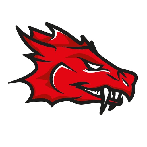 SGSH DRAGONS by SGSH DRAGONS e.V.