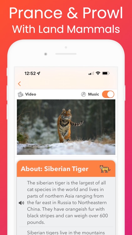 YipYap - Animal Discovery screenshot-8