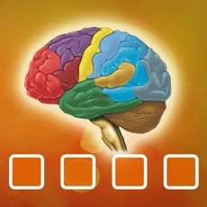 Activities of Brain Teaser