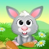 Hungry Rabbit - Help the Rabbit to eat Carrots