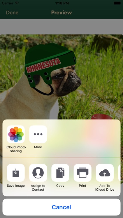 Minnesota Hockey Stickers & Emojis screenshot-4