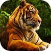 VR The Tiger Simulator