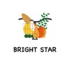 BrightStarApp