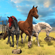 Activities of Horse Multiplayer