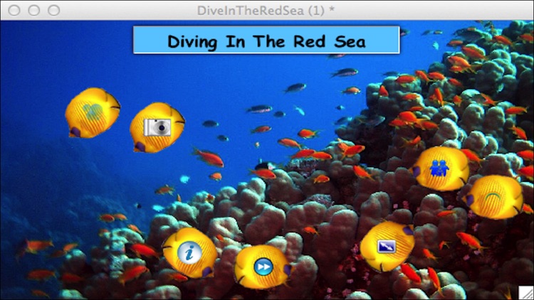 Diving In The Red Sea