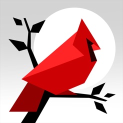 Cardinal Land - Jigsaw & Tangram Puzzle Blend