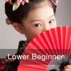 Japanese Lower Beginner for iPad