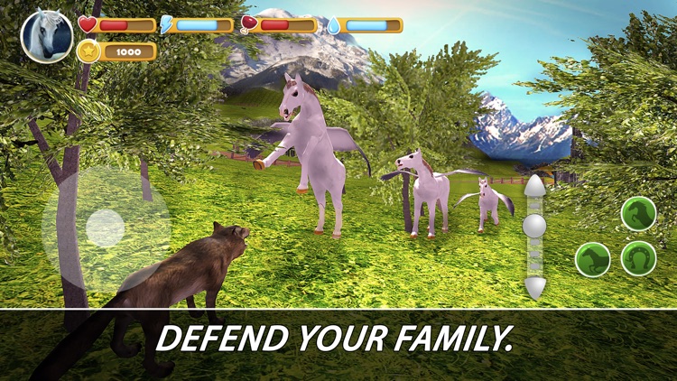 Pegasus Family Simulator