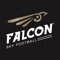 Falcon Sky Football App Móvil te mantiene informado de todas las estadísticas de tus equipos: