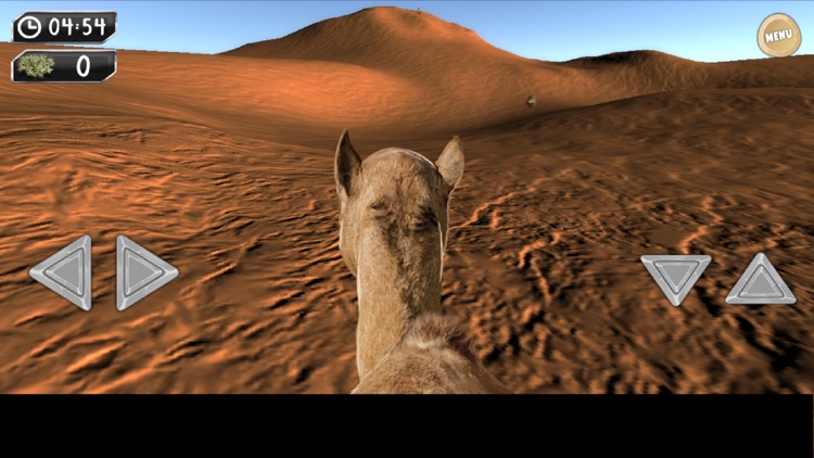 Drive Camel Simulator