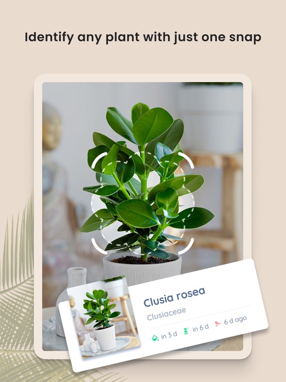 PlantIn: Plant Identifier PlantIn: Plant Identifier