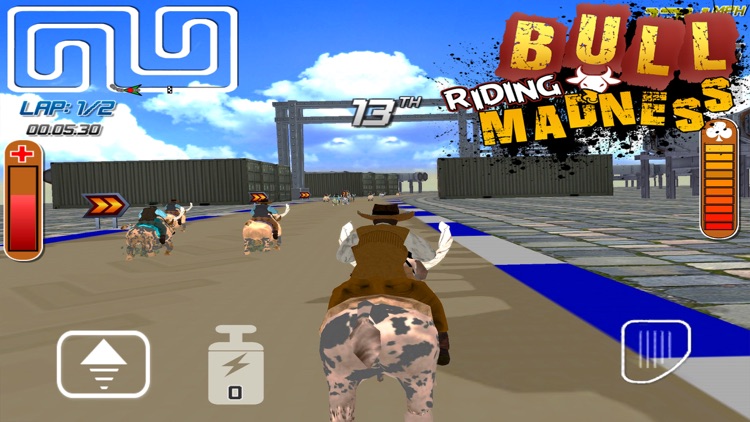 BULL RIDING MADNESS - 3D RACING GAME