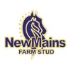 NewmainsFarmStud