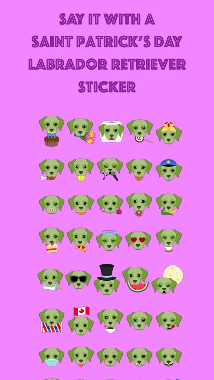 Saint Patrick's Day Labrador Retriever Stickers
