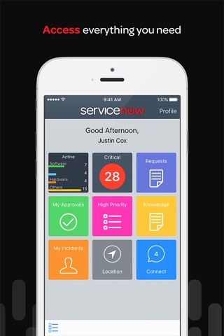 ServiceNow Classic screenshot 2