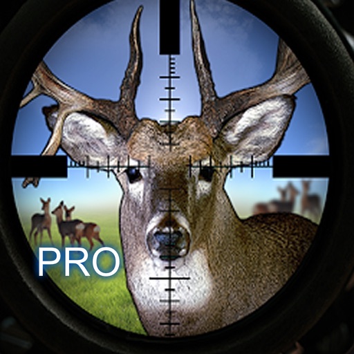 African Safari Pro: Hunter Of Deer Angry Icon