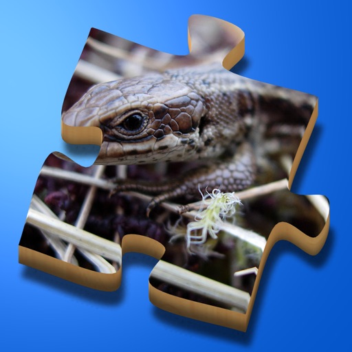 Super Jigsaws Bugs & Creatures iOS App