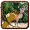 Wild Animal Hunter - Arrow Shoot