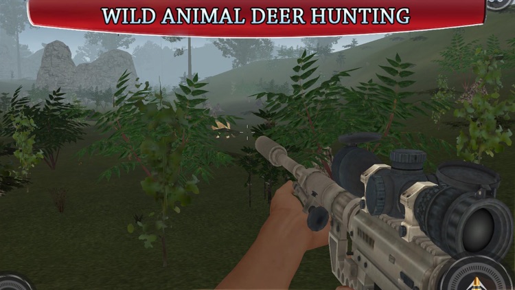 Deer Wild Hunter 3D - Sniper Shoot Animal