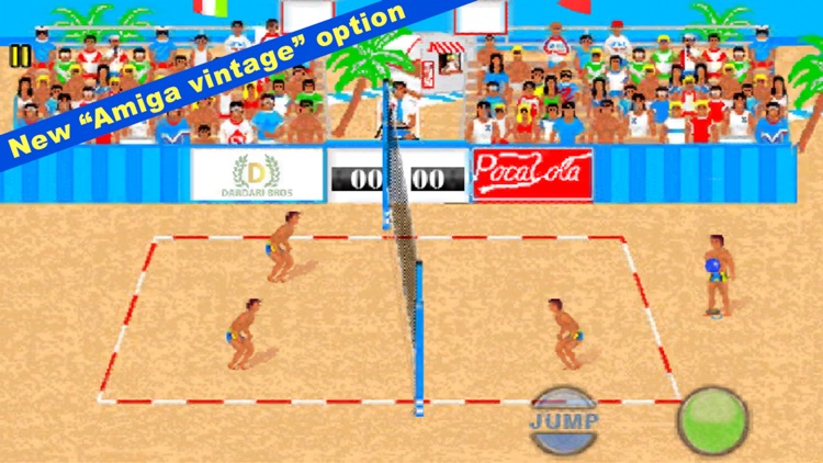 Over The Net Beach Volleyball