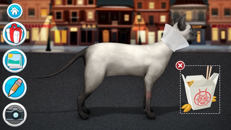 Pet Vet Doctor Cats