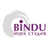 Студия йоги и танца BINDU