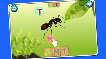 First & Sight Words -... screenshot1
