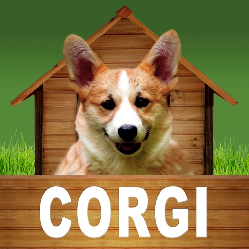 Corgi - opoly