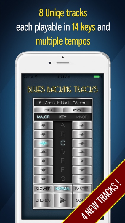 Blues Backing Tracks screenshot-0