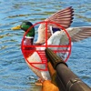 2016 Duck Shooting - Shoot African Birds