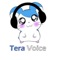 دردشة تيرا فويس tera voice 