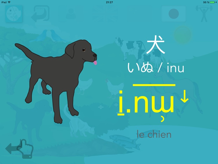 8 animals in French, Japanese, Chinese, English