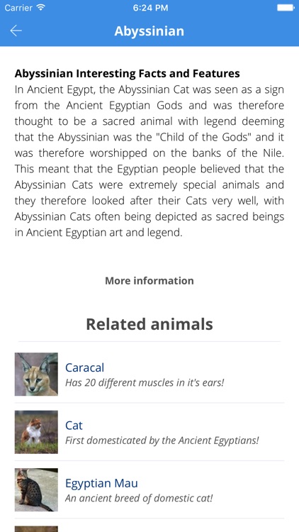 Animal Facts (Animal World) screenshot-3