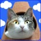 It's a never ending online match game collecting 1000 cats with luck and ability