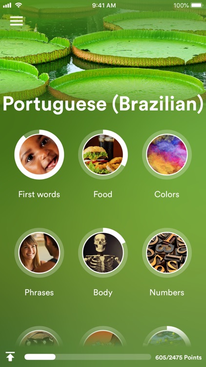 Learn Brazilian Portuguese!